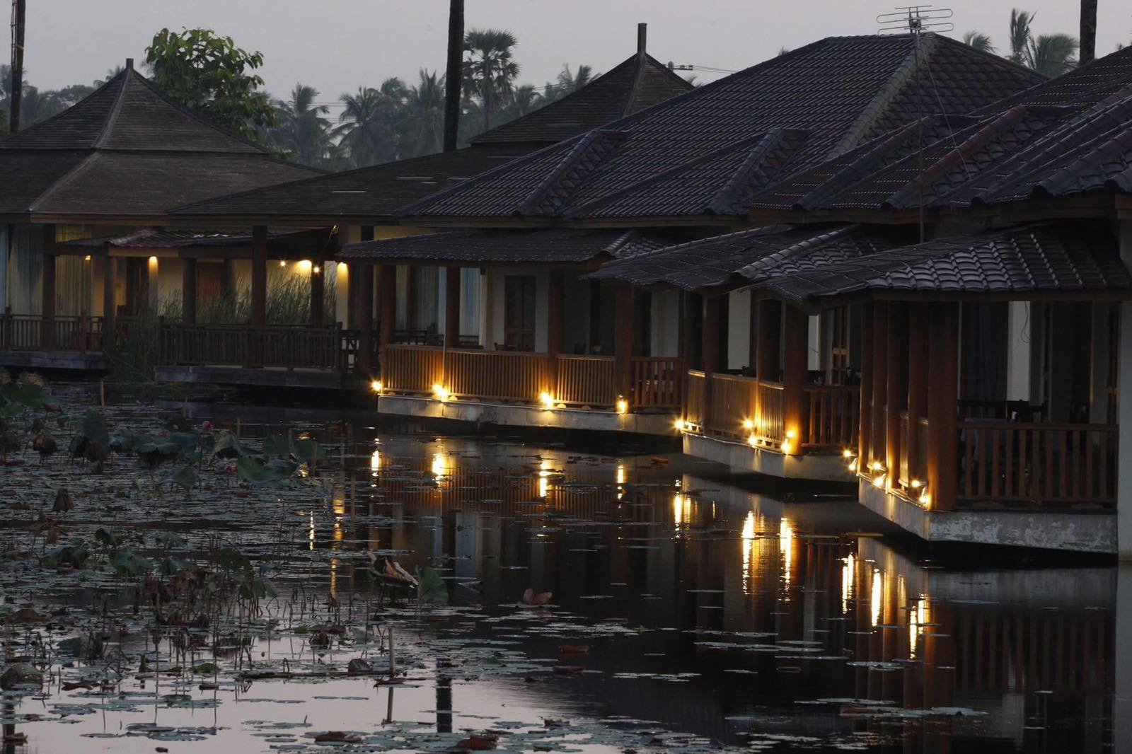 Hotel buildings illuminated beside a lotus-filled lake