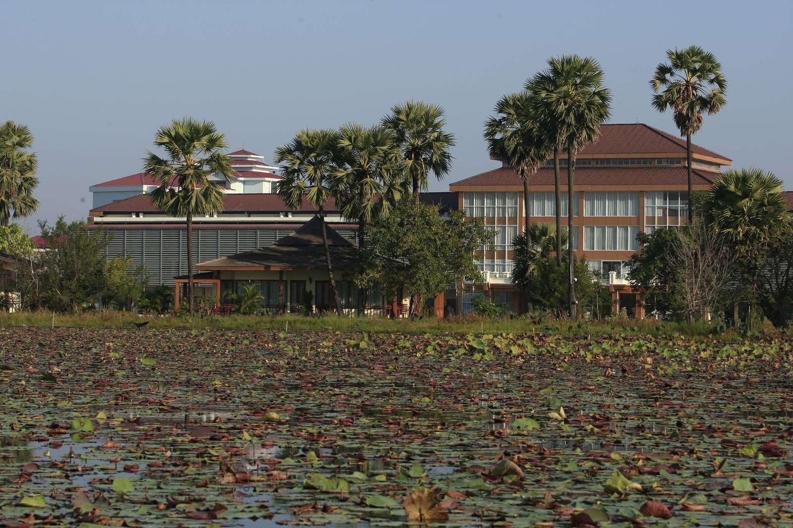 Hotel buildings and palm trees beside a wide lotus pond