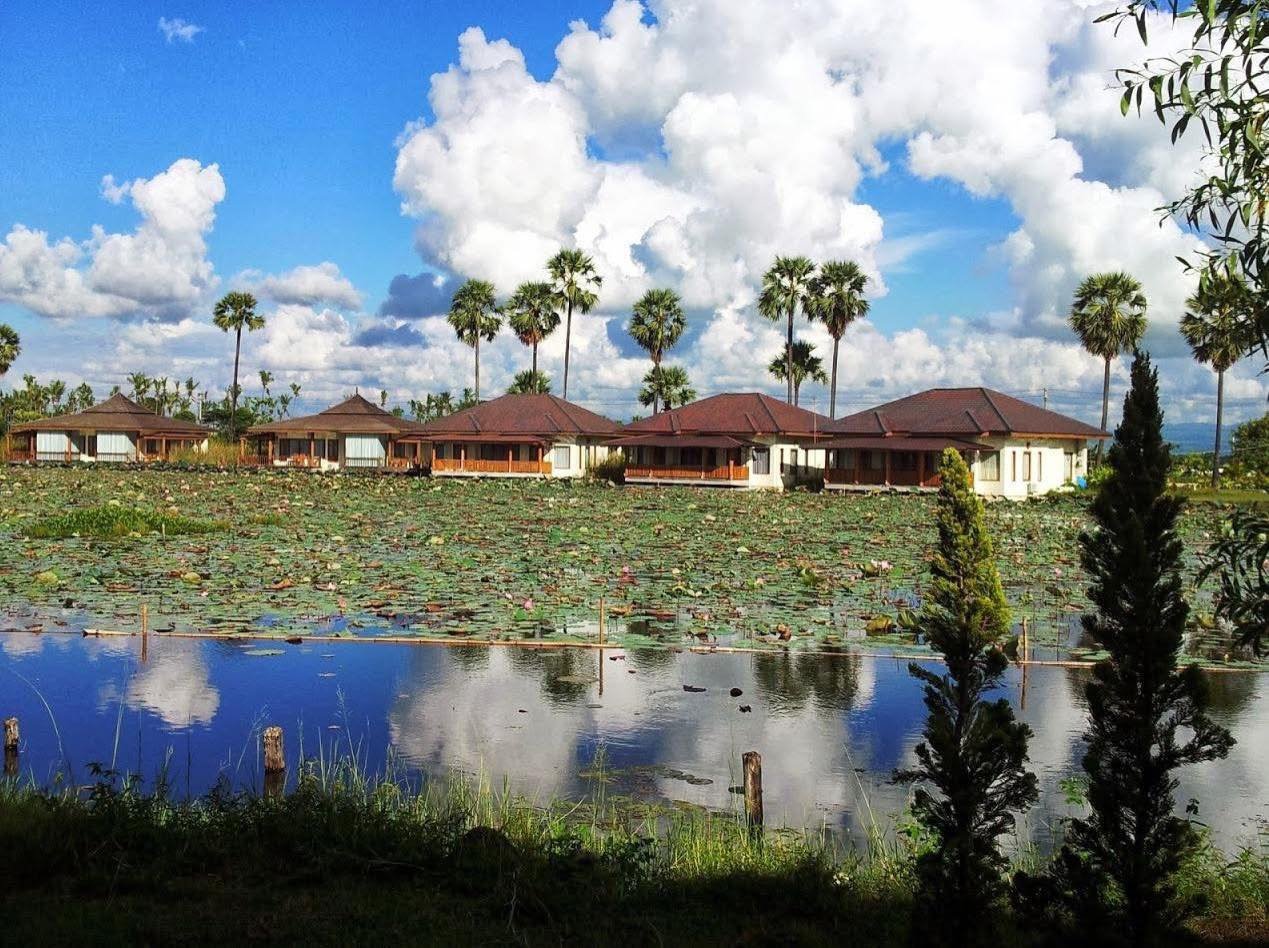 Hotel bungalows and palm trees reflected in a calm pond